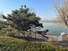 -青龙湖公园