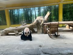 -杭州野生动物世界