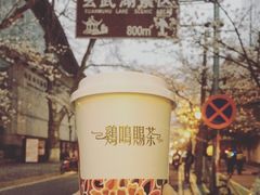 -鸡鸣赐茶(鸡鸣寺路店)
