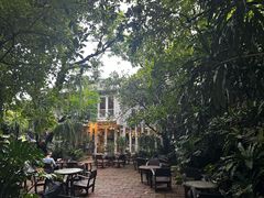 -Fern Forest Cafe
