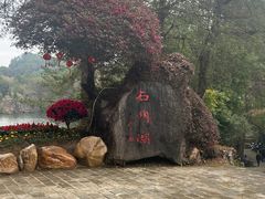 -冠豸山景区