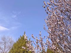 -青龙湖公园