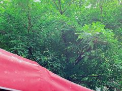 -赵伍面庄(松石大道店)