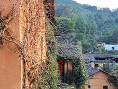-杨家堂村