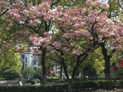 -上海市浦东新区明珠幼儿园