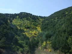 -山西通天峡景区