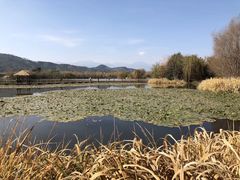-西昌邛海湿地