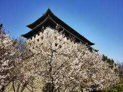 -北京明城墙遗址公园