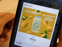 -野萃山·潮汕厚果汁(十亩地店)