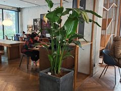 -Wagas沃歌斯(江浦路店)