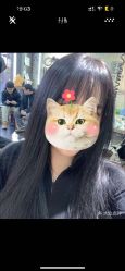 -無名发艺