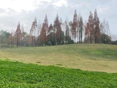 -成都保利公园皇冠假日酒店(熊猫基地店)
