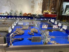 -船歌·鱼水饺青岛菜(黄岛珠江路店)