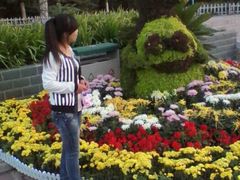 android_upload_pic-迎泽公园