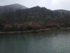 -石塘人家