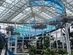 -石家庄市植物园