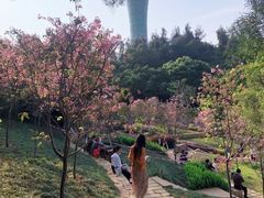 -狐尾山公园