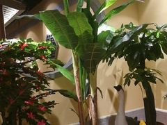 -百年恒益烧腊海鲜酒家·非遗传承(广州黄埔店)