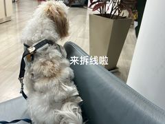 -良伴无忧宠物医院(泰欣嘉园店)