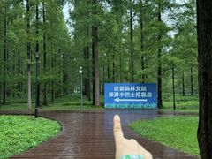 -黄海国家森林公园