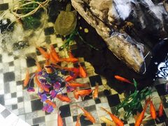 -孙家面馆(小康城店)