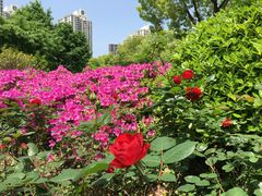 -苏州河梦清园环保主题公园