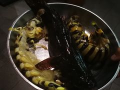 -海盗餐厅