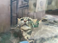 -青藏高原野生动物园