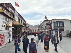 -古树酸奶(八廓南街店)