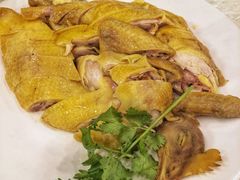 白斩鸡-嘉华海鲜酒家(龙津中路店)
