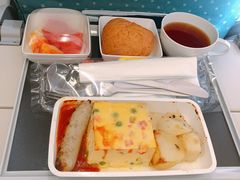 -新加坡航空公司(ION)