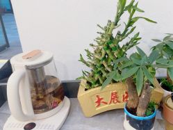 -肤原祛痘修肤中心