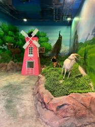 -酷嗒动物文化乐园(cutezoo西溪乐天城店)