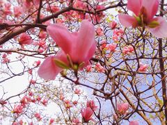 -玄武湖景区-情侣园游乐场