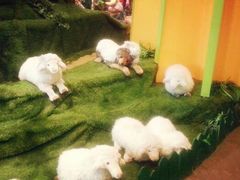 泰迪熊博物馆-济州岛泰迪熊博物馆