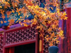 -香山公园