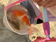 -青龙湖公园