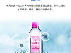 -王德传茶庄(上海新天地店)