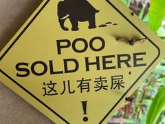 -大象粑粑造纸公园