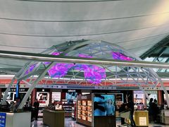 -王权免税店(廊曼机场店)