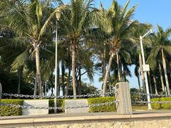 -深圳湾公园(南山区)