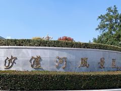 -沙澧河风景区