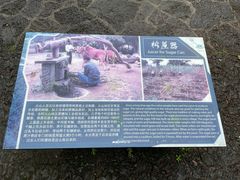 -海口火山口国家地质公园