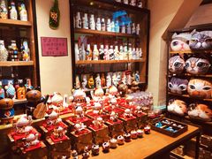 -猫咪博物馆(顶澳仔猫街店)