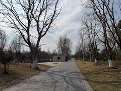 -东湖落雁景区