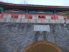 -云岗森林公园