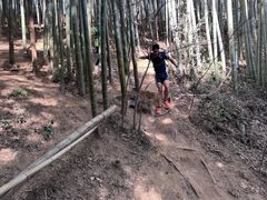 -西湖风景区十里琅珰-五云山