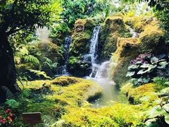 -Chom Cafe and Restaurant