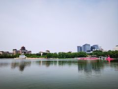 -莲花池公园