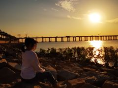 -宝安西湾红树林湿地公园